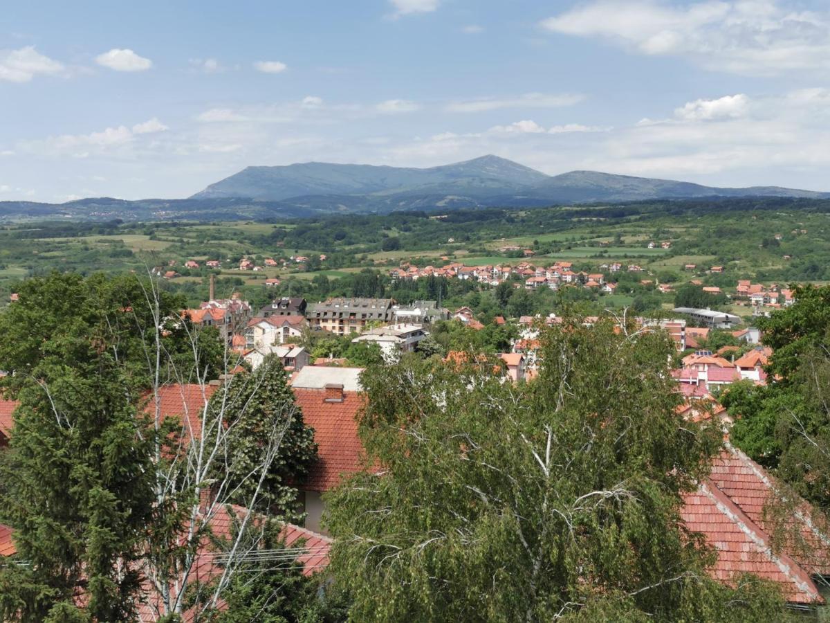 Vila Breza Soko Banja Exterior photo