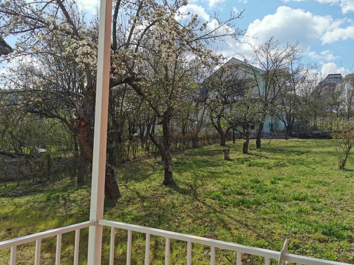 Vila Breza Soko Banja Exterior photo