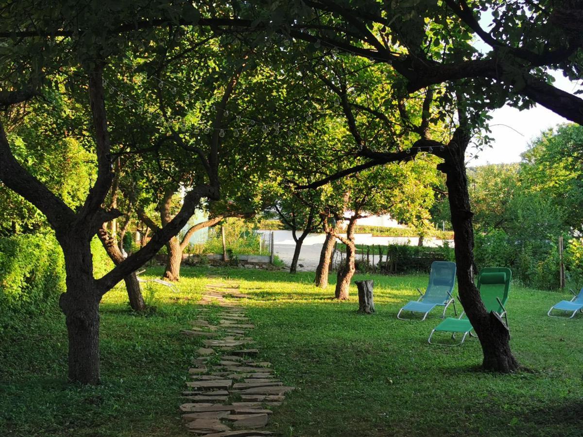 Vila Breza Soko Banja Exterior photo